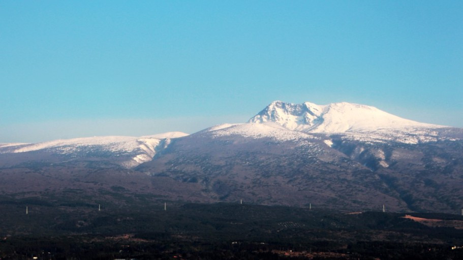 다운로드 (5).jpg