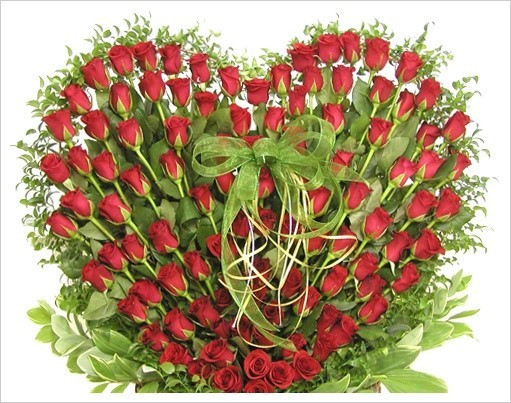 다운로드 (1).jpg