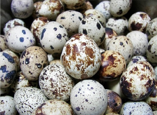 다운로드 (3).jpg