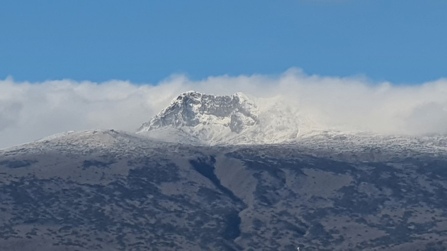 다운로드 (6).jpg