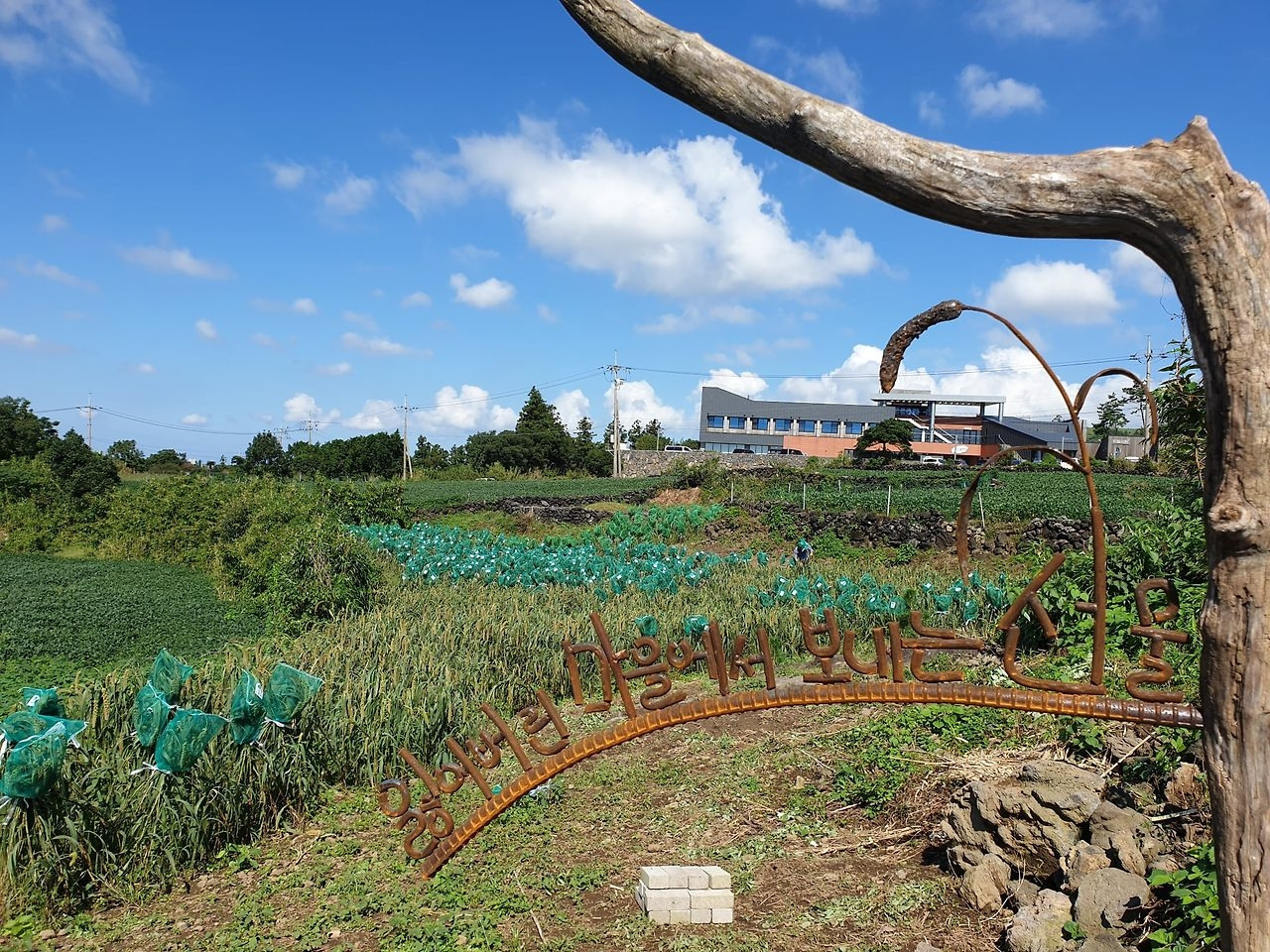 다운로드 (31).jpg