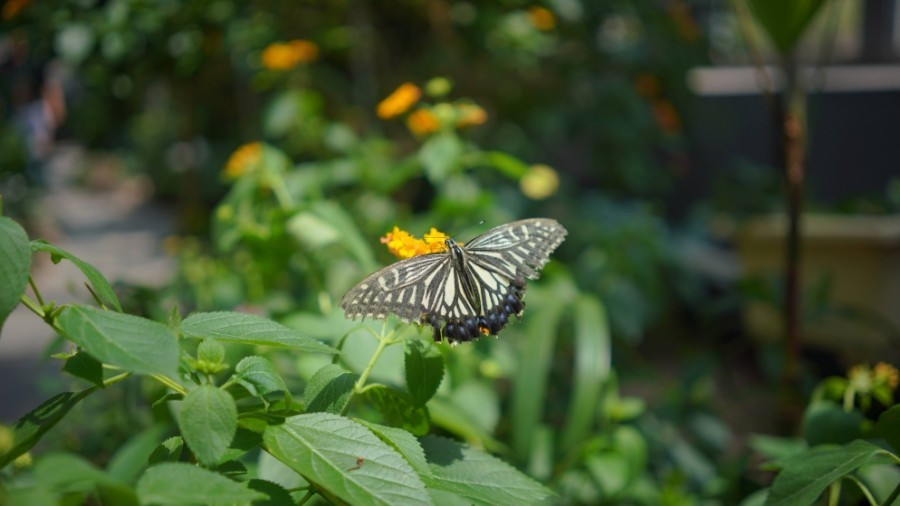 다운로드 (22).jpg