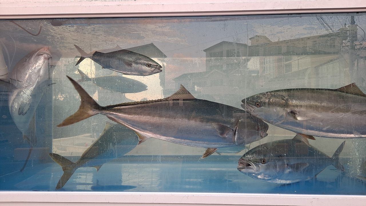 다운로드 (1).jpg