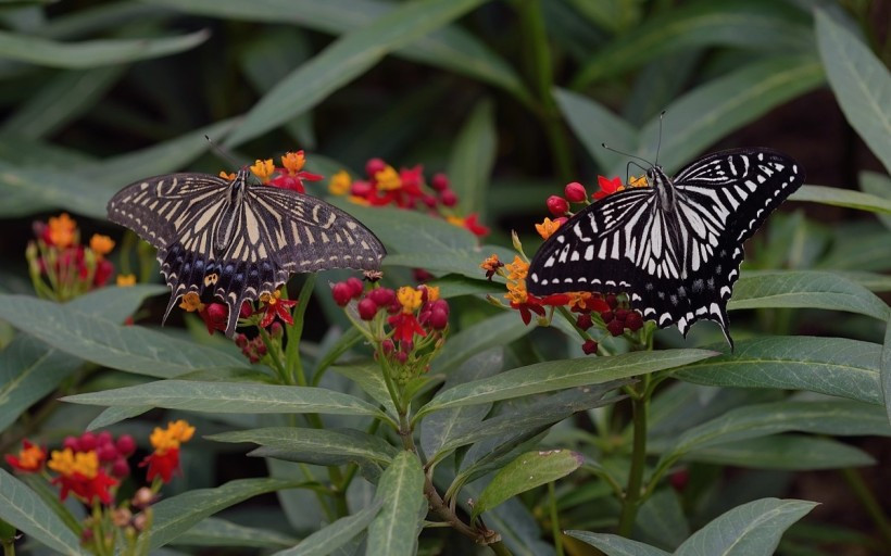 다운로드 (23).jpg