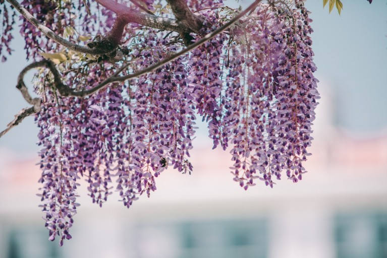 다운로드 (21).jpg