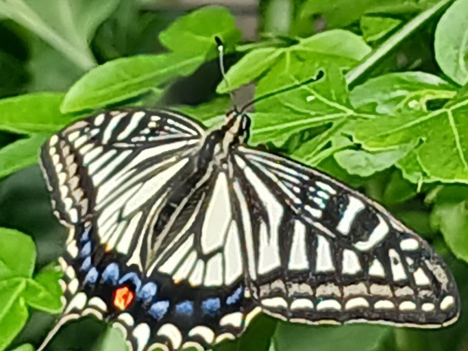 다운로드 (21).jpg