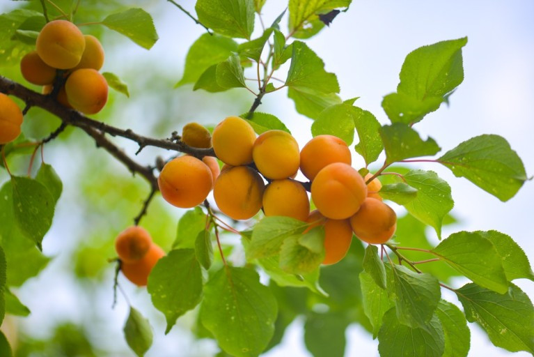 다운로드 (3).jpg