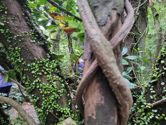 다운로드 (28).jpg