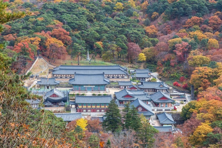 다운로드 (1).jpg