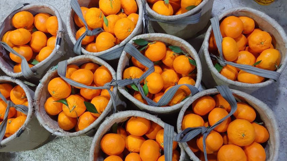 다운로드 (10).jpg