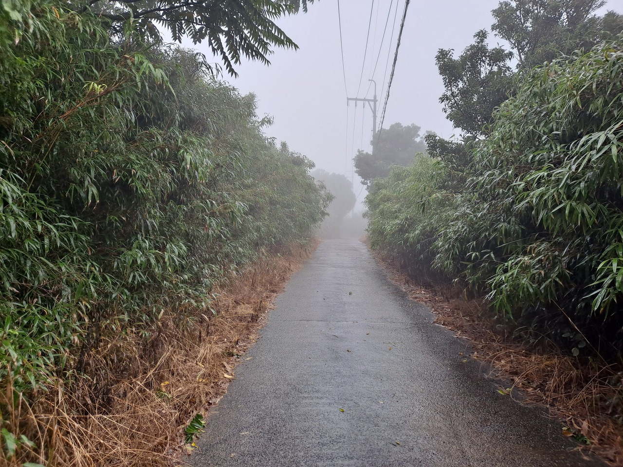 다운로드 (13).jpg