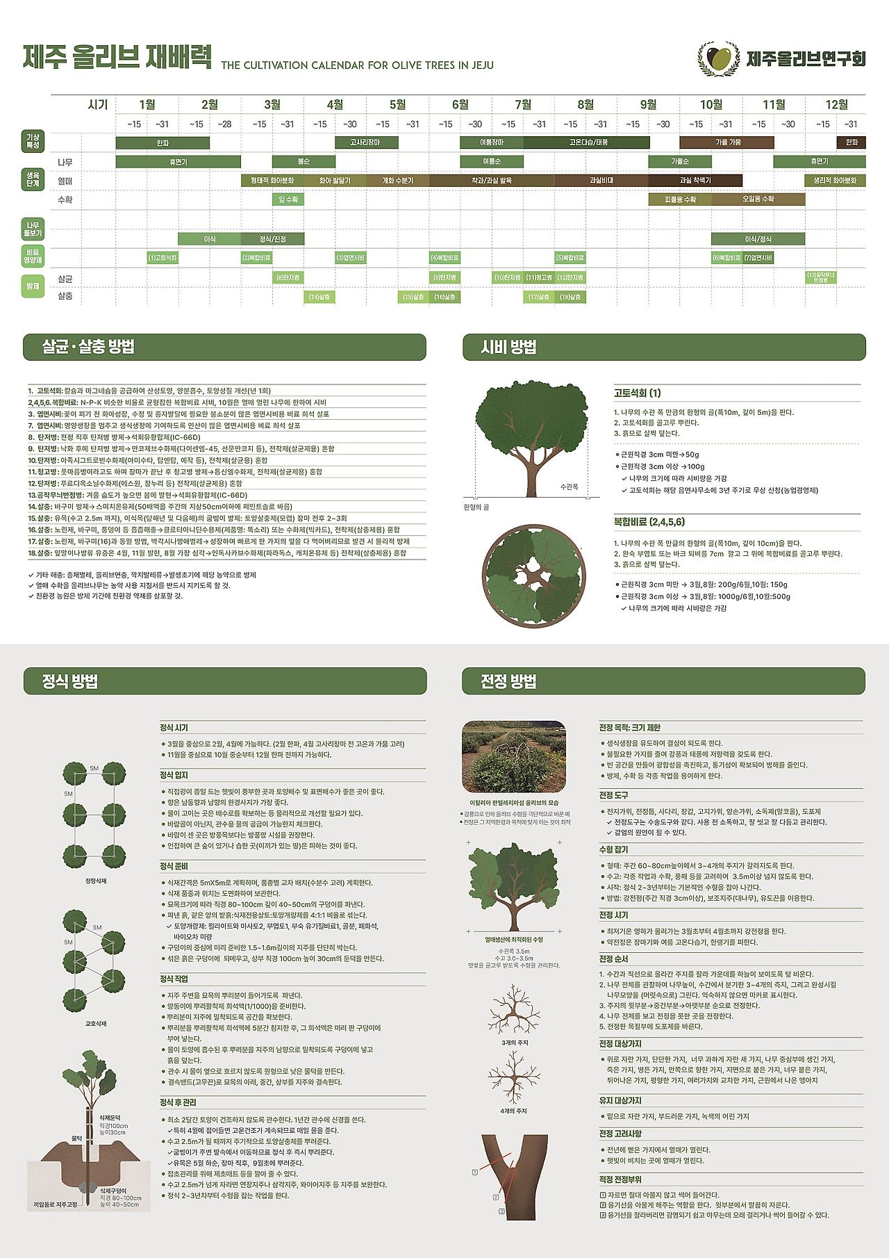 제주올리브재배력_2025_A2_소용량.jpg