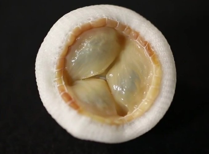 다운로드 (9).jpg