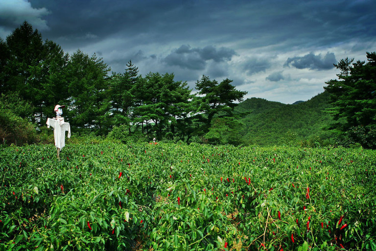 다운로드 (1).jpg