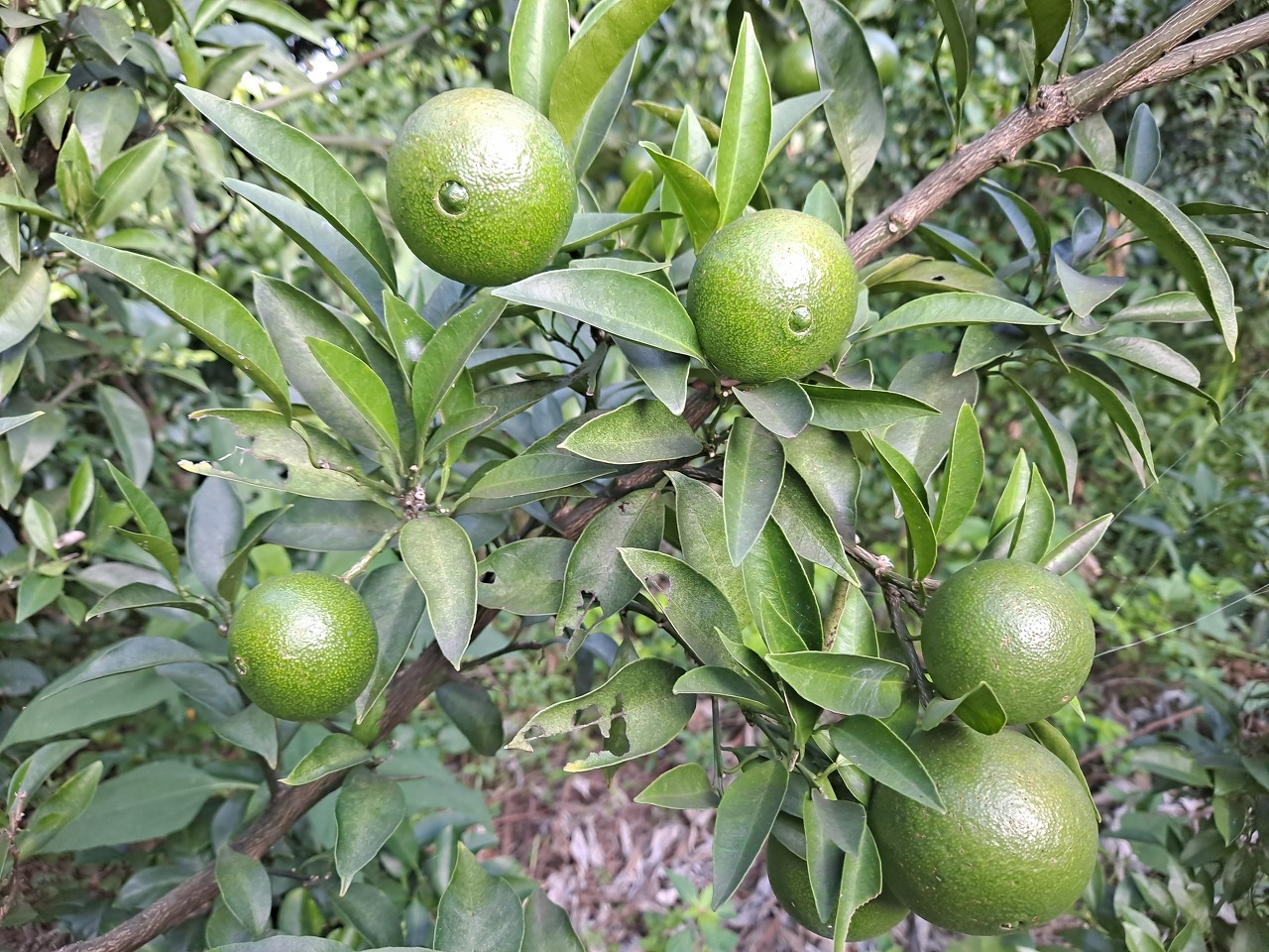 다운로드 (3).jpg