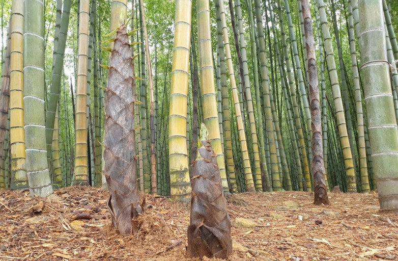 다운로드 (32).jpg