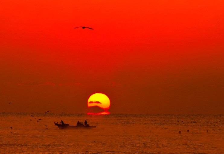 다운로드 (18).jpg