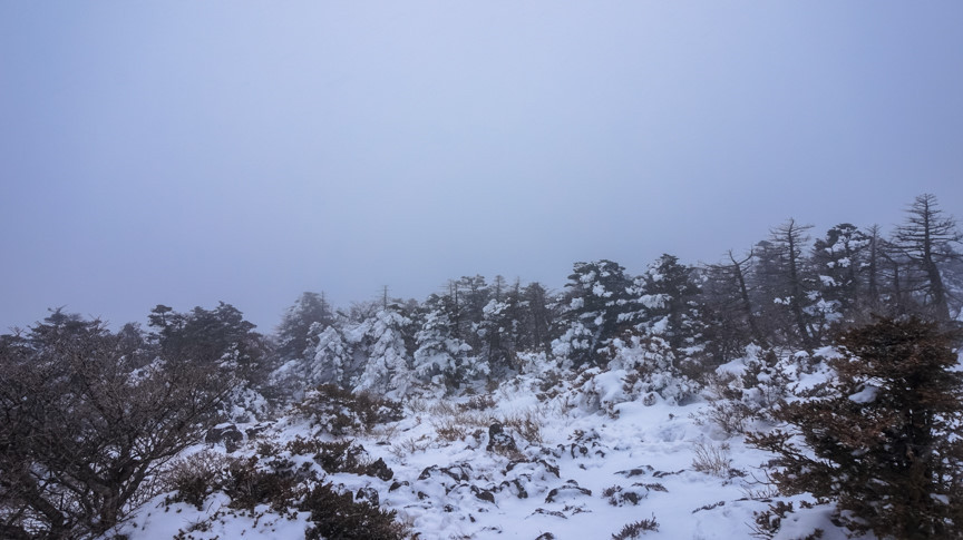 다운로드 (1).jpg