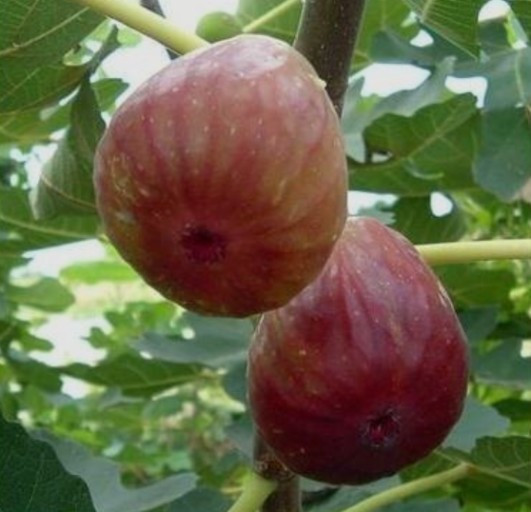 다운로드 (21).jpg