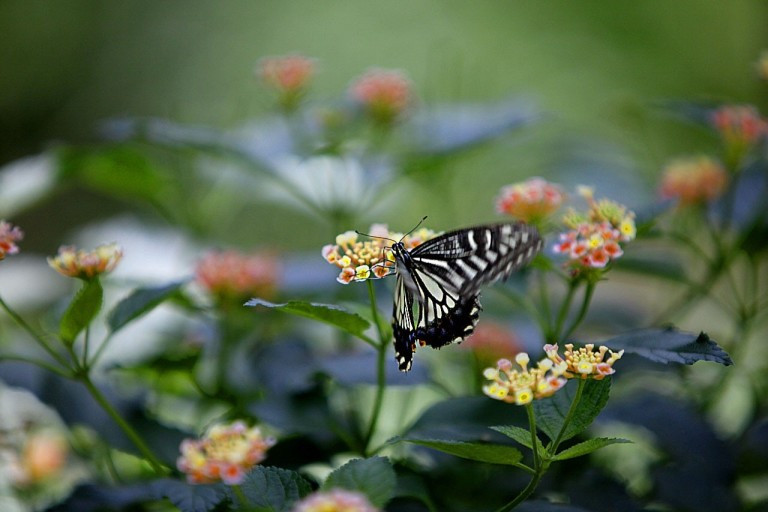 다운로드 (20).jpg