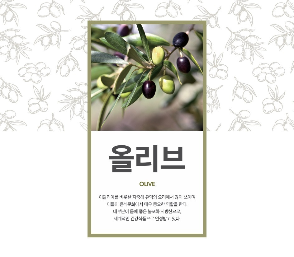 올리브.jpg
