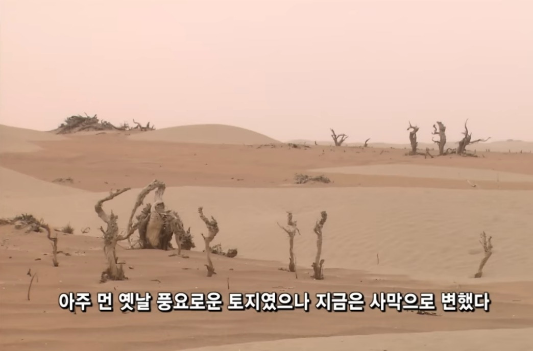 소하묘 유적 6.jpg