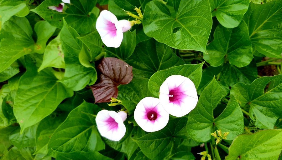 다운로드 (7).jpg