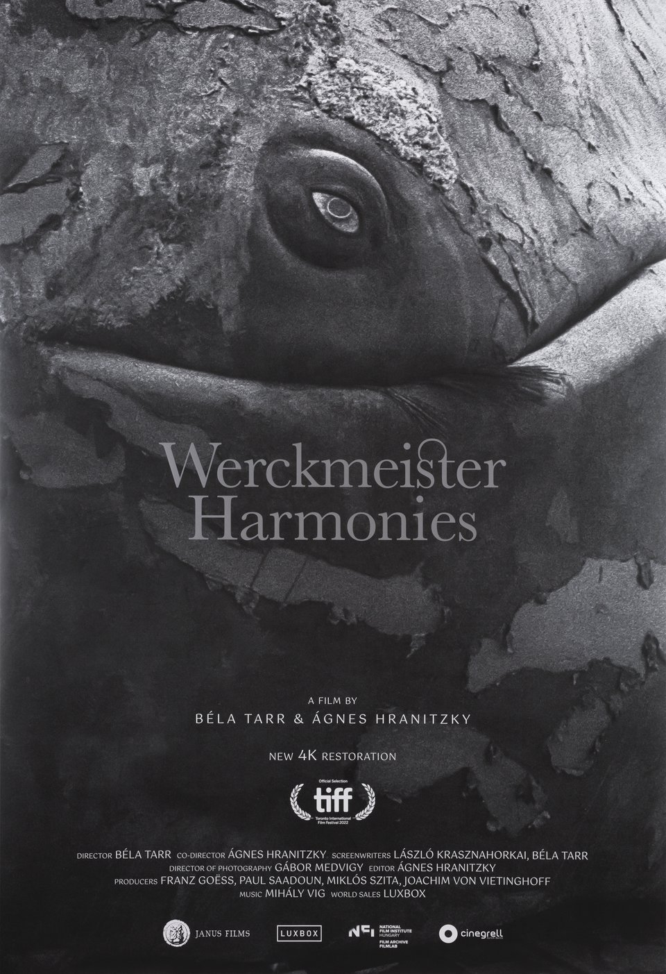 werckmeister-harmonies-md-web.jpg