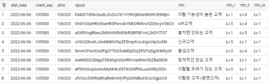 RFM Query 결과(출처 BizSpring).jpg
