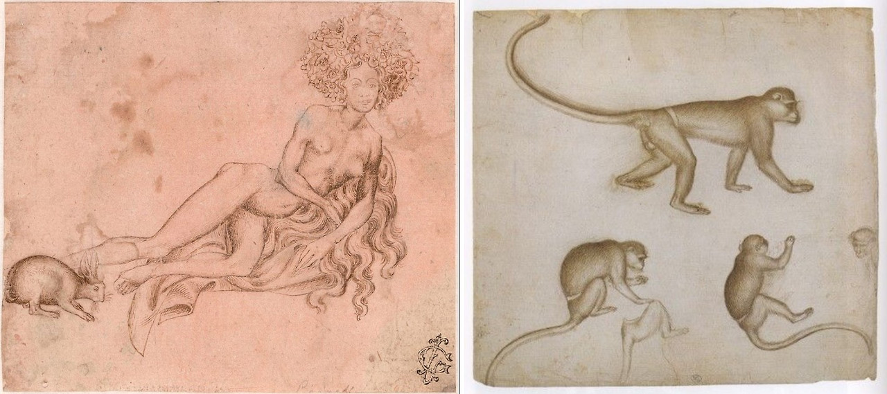 안토니오 피사넬로_습작.jpg