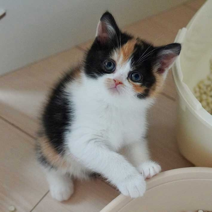 다운로드 (1).jpg