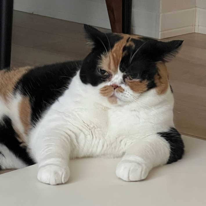 다운로드 (2).jpg