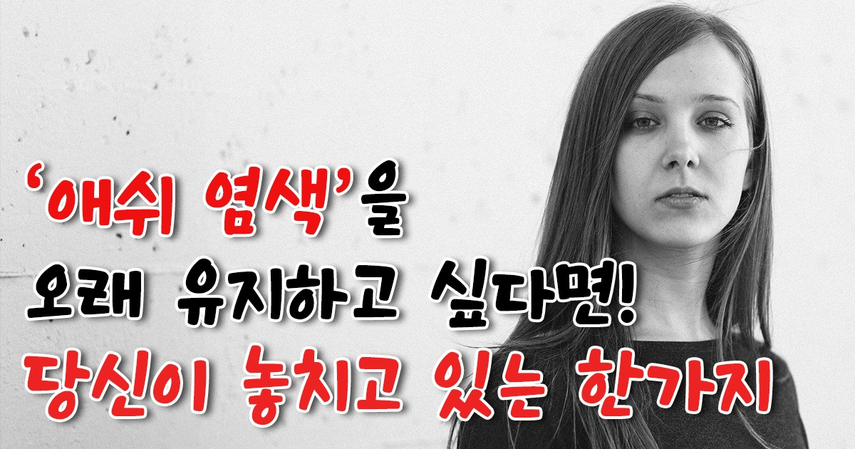 브런치 16탄 이미지.jpg