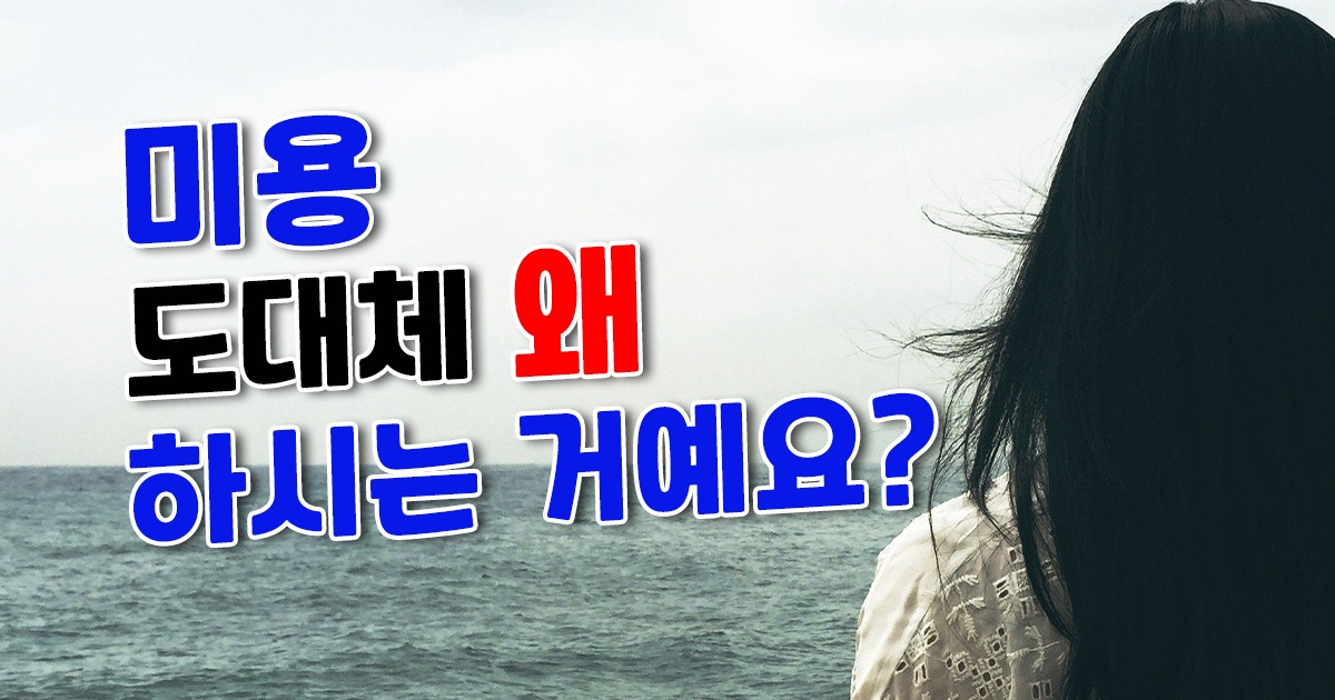 브런치 19 이미지.jpg