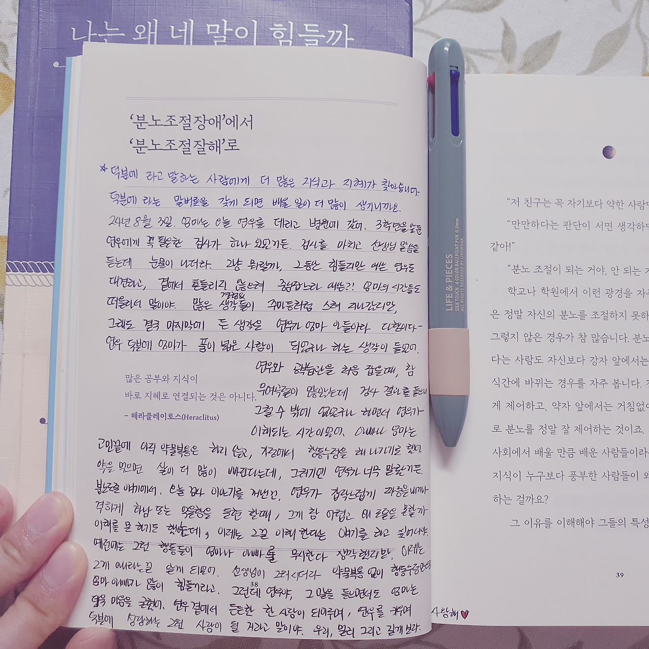 핸드 확률