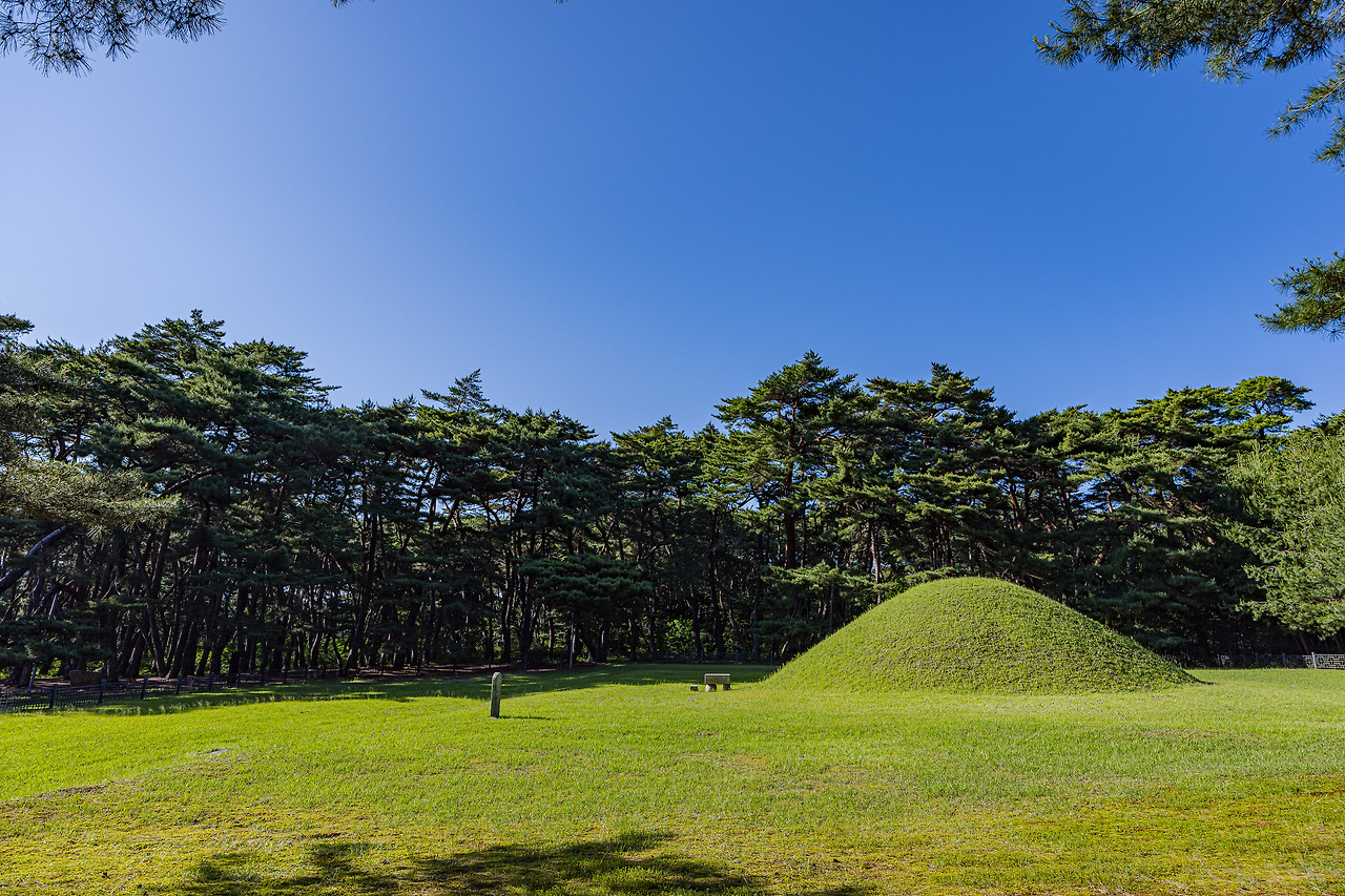 경애왕릉_B6A9590.jpg