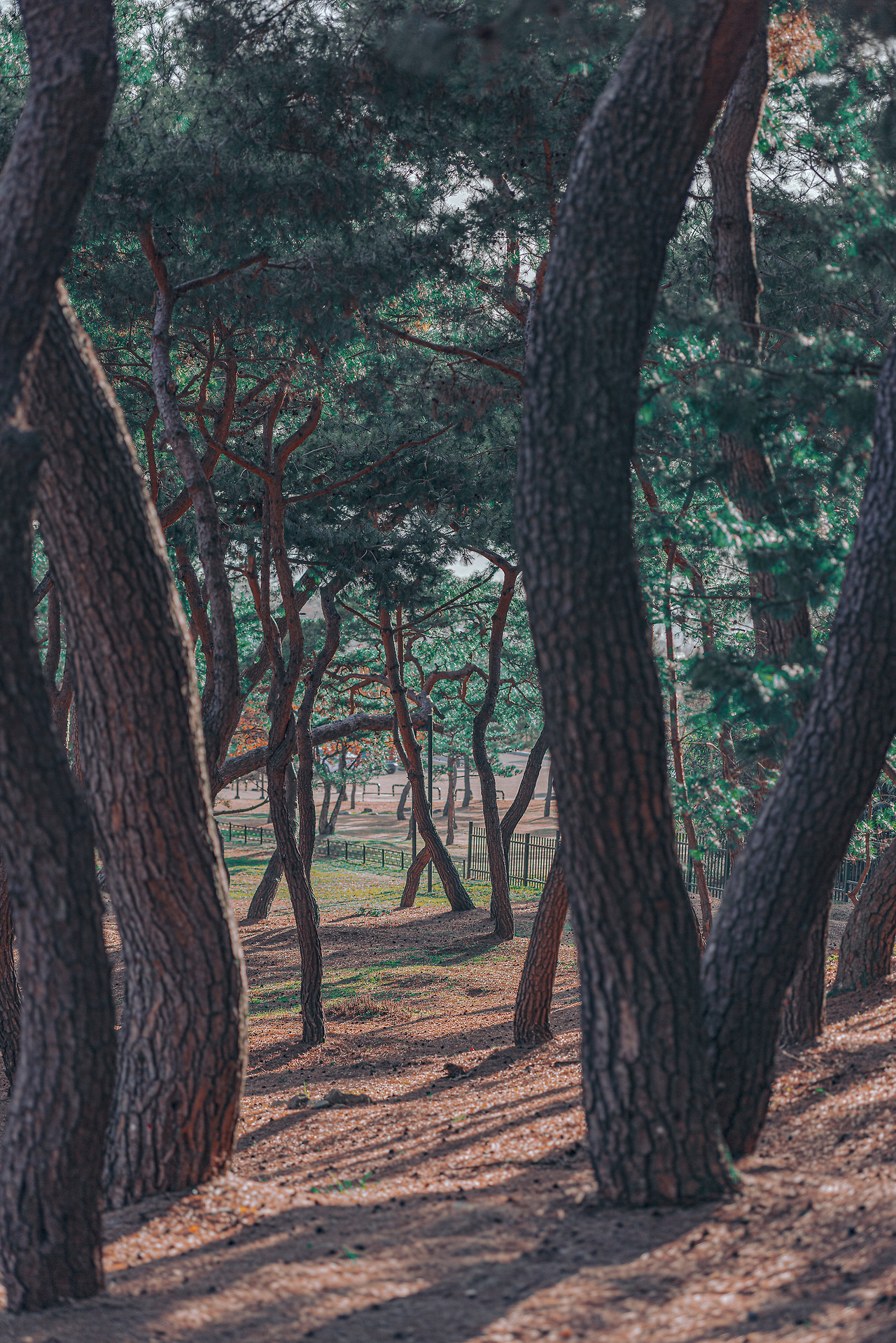 _B6A8944 복사본.jpg