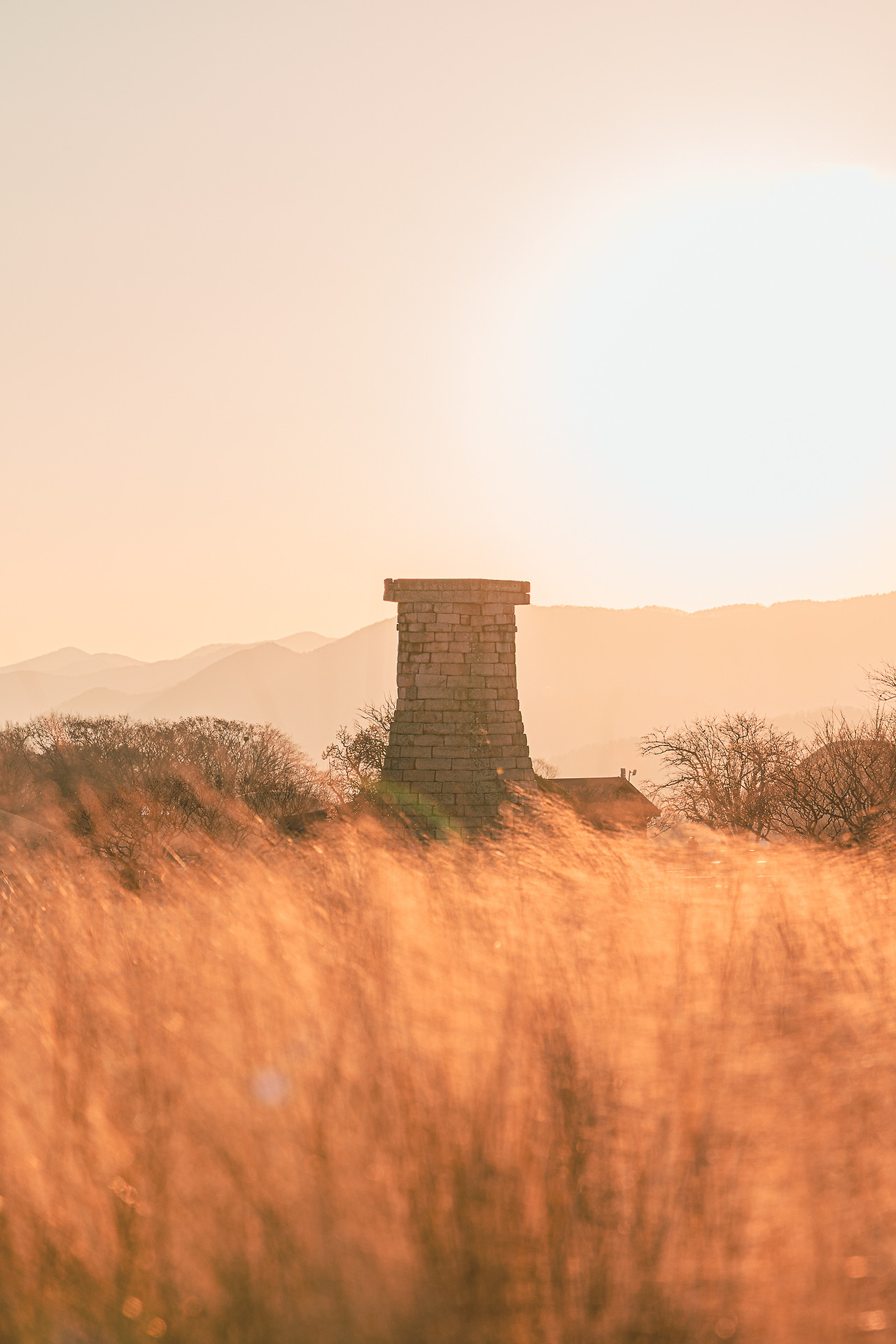 _5M23106 복사본.jpg