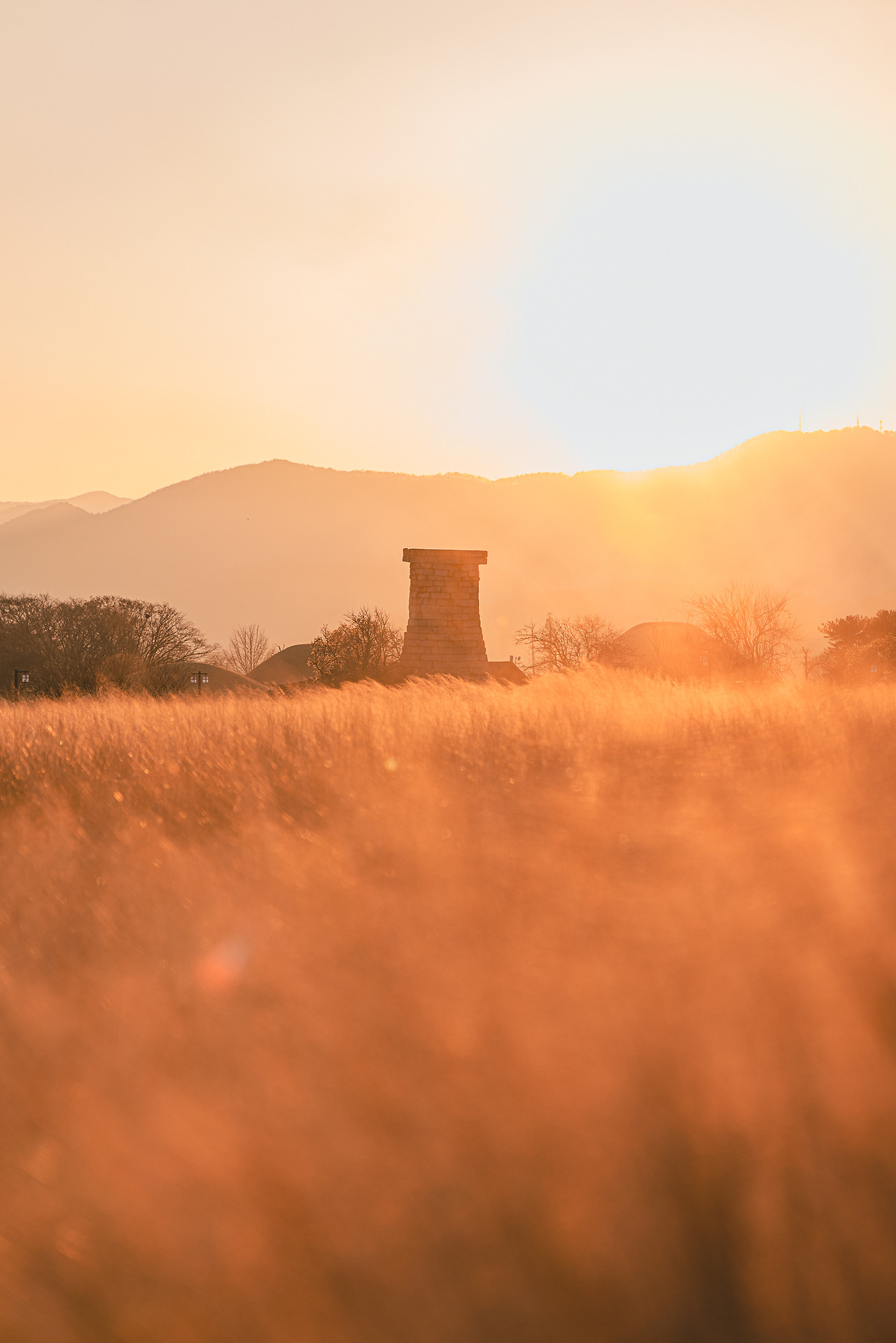 _5M23153 복사본.jpg