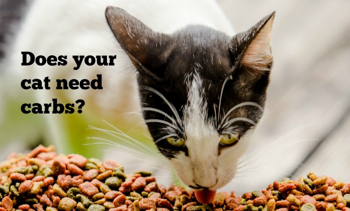 다운로드 (4).jpg