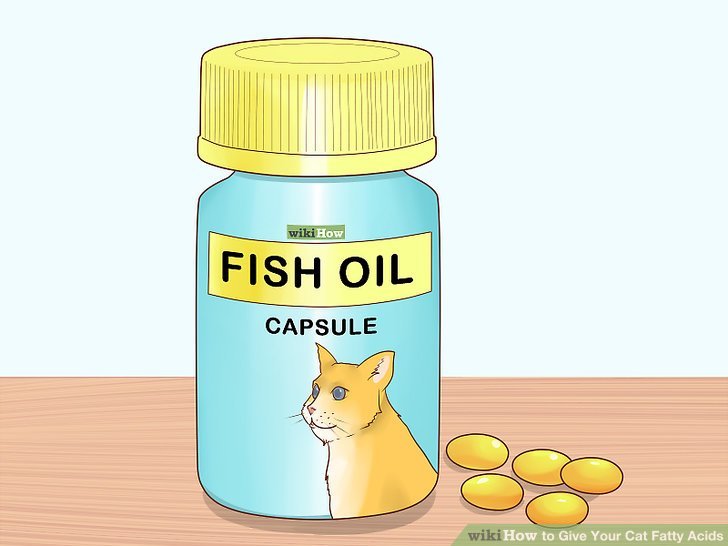 aid8748075-v4-728px-Give-Your-Cat-Fatty-Acids-Step-8-Version-2.jpg