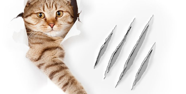 다운로드 (2).jpg