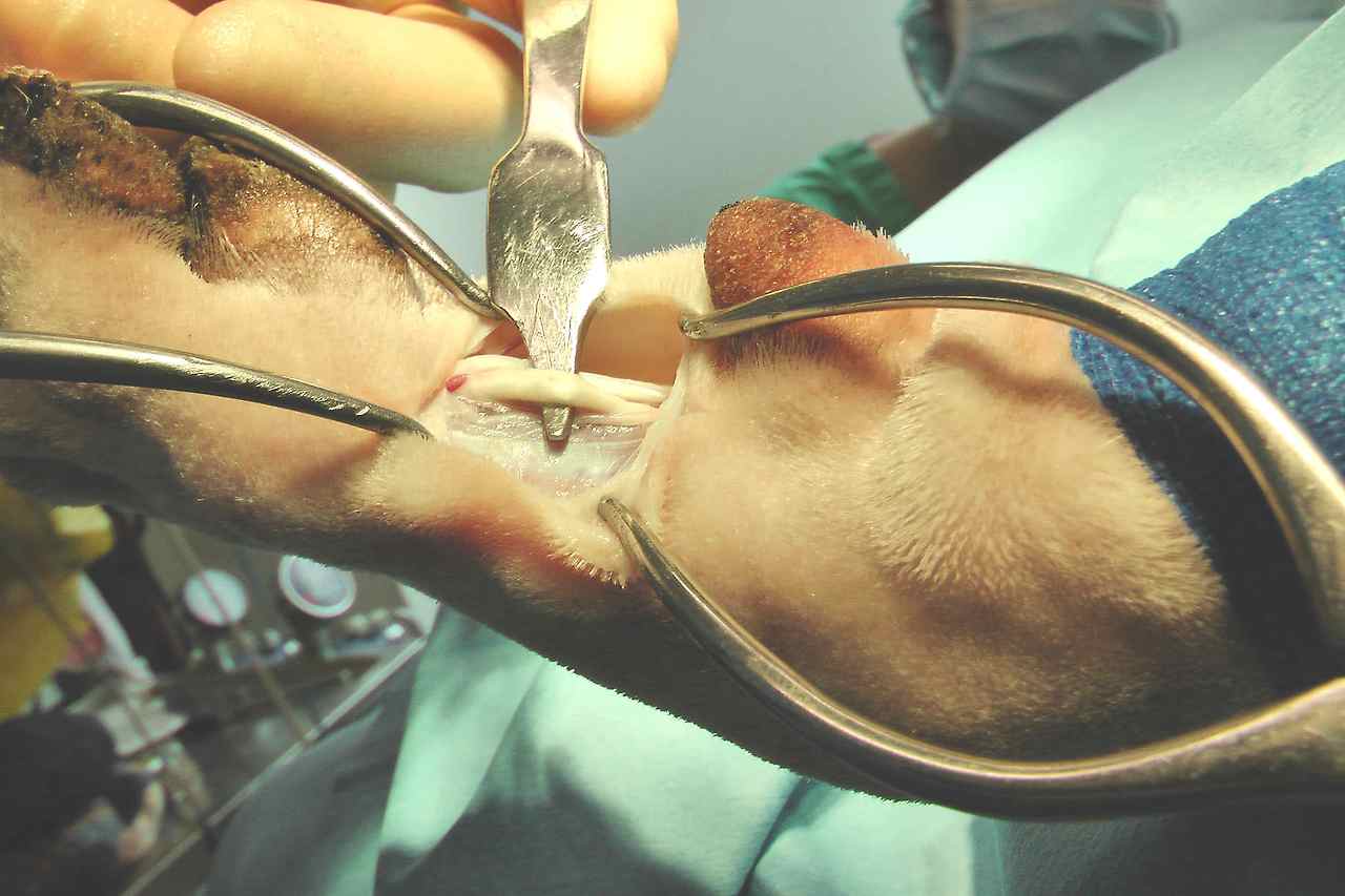 다운로드 (3).jpg