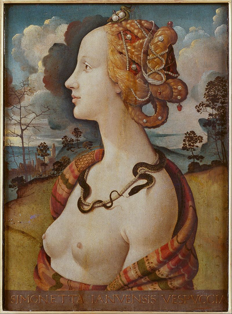 800px-Piero_di_Cosimo_-_Portrait_de_femme_dit_de_Simonetta_Vespucci_-_Google_Art_Project.jpg