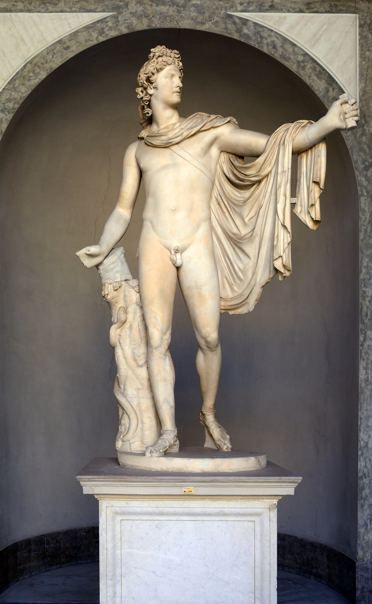 Apollo_del_Belvedere.jpg