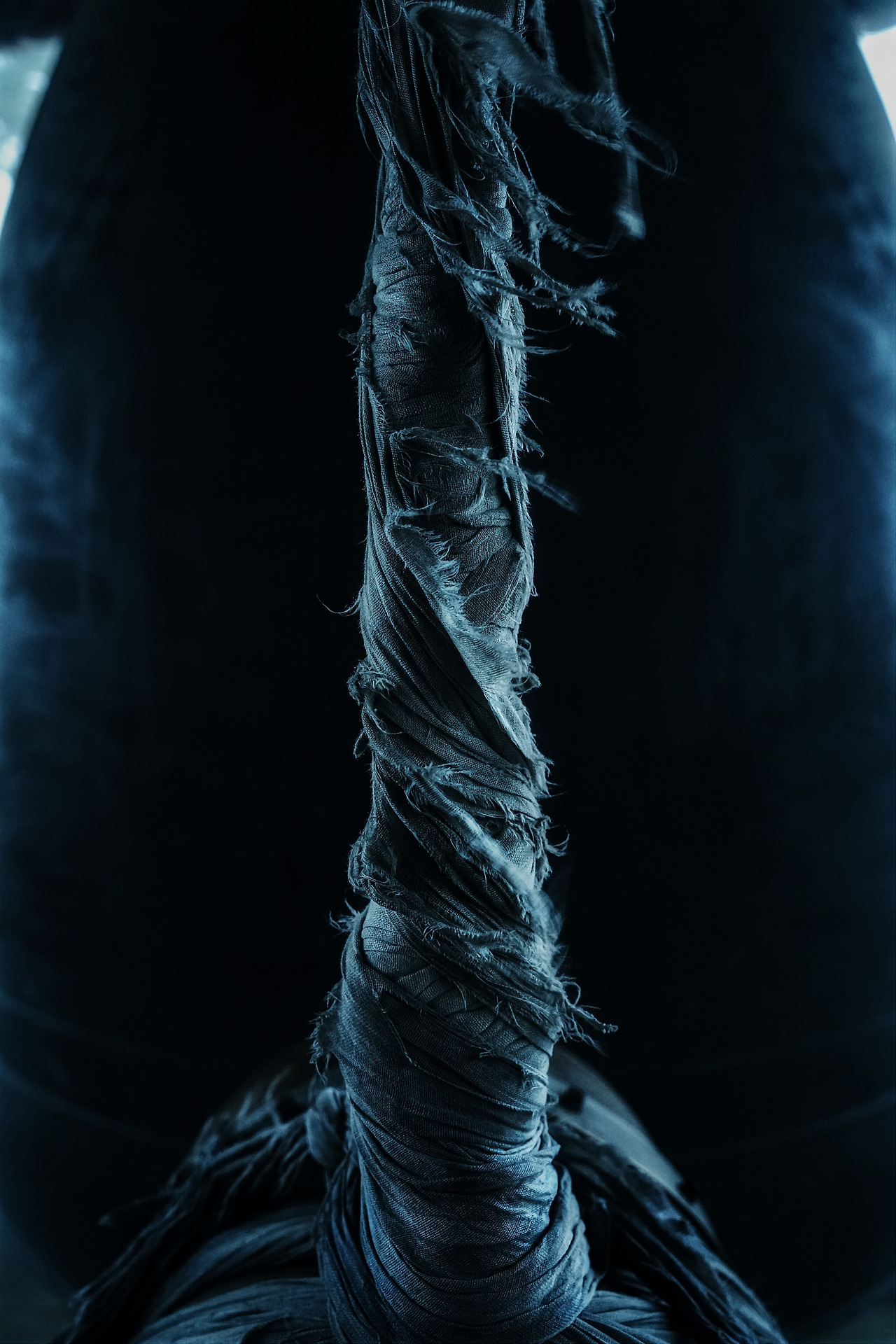 서산 부석사, 일승의 끈, 110 X 60cm, 아카이벌 피그먼트 프린트, 서산 부석사, 2016  (1) 사이즈 줄임.jpg