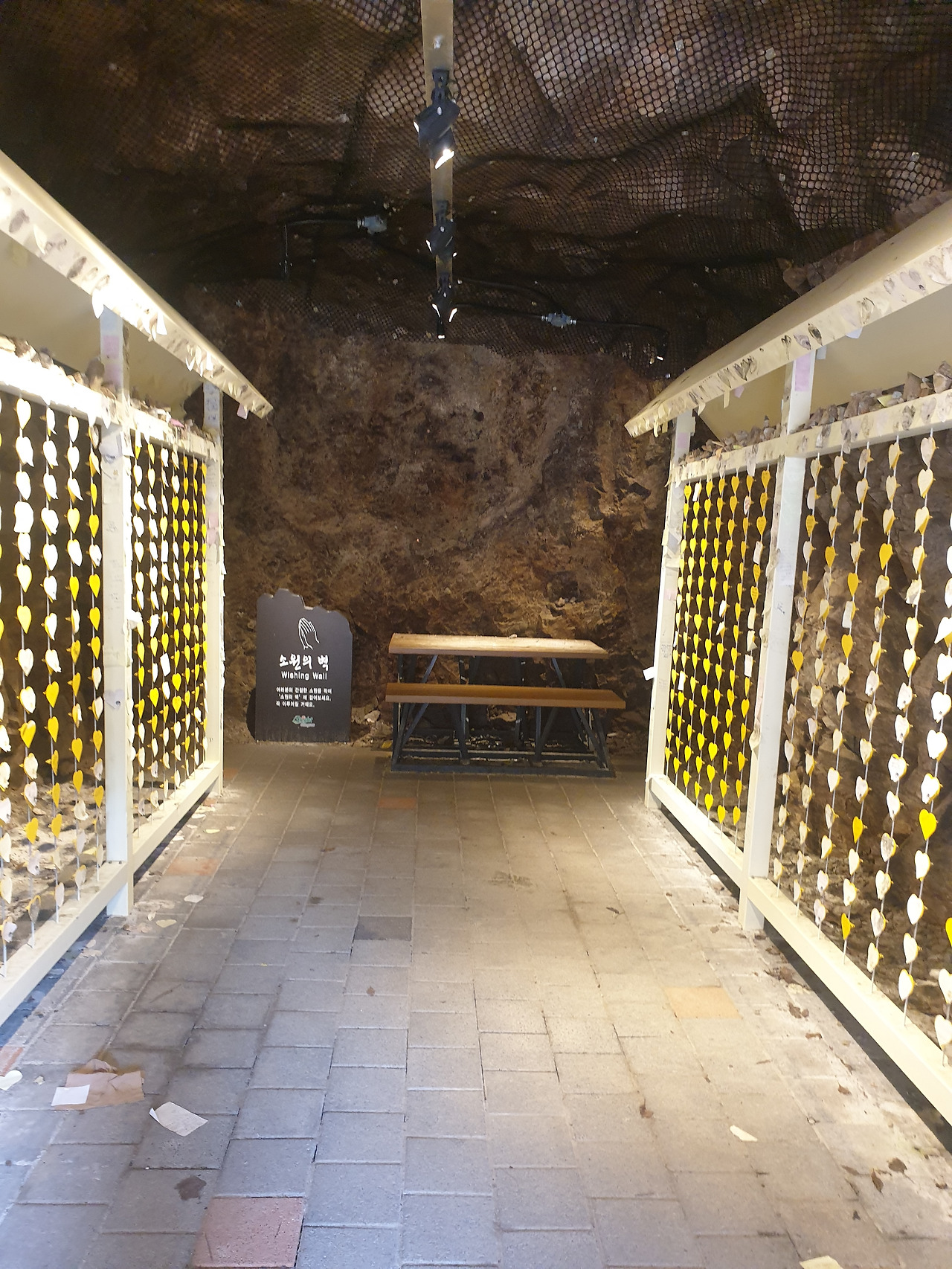 20211007_163755 - 복사본.jpg