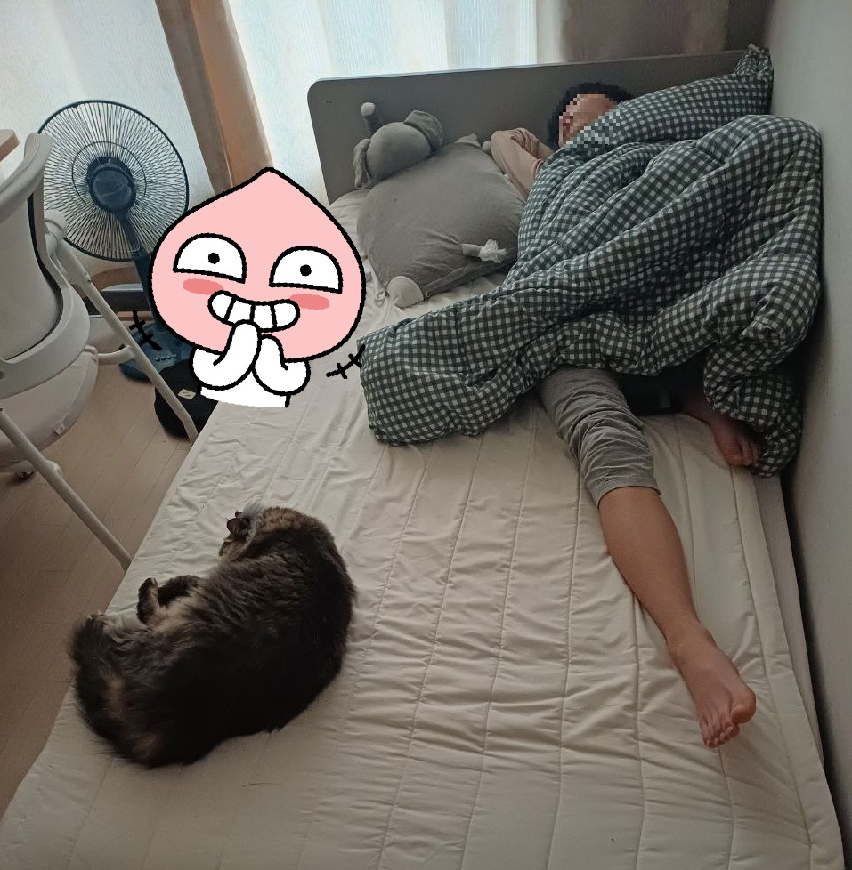 온라인 카지노 게임