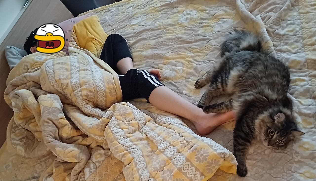 온라인 카지노 게임