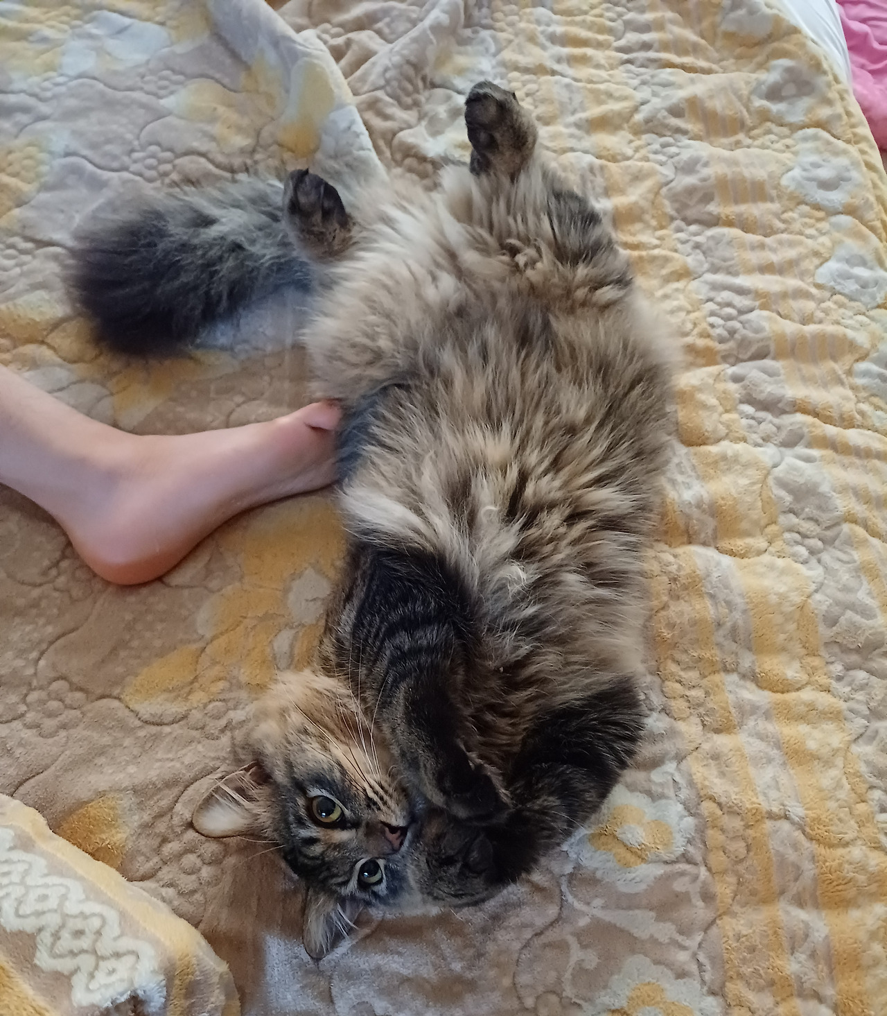 온라인 카지노 게임